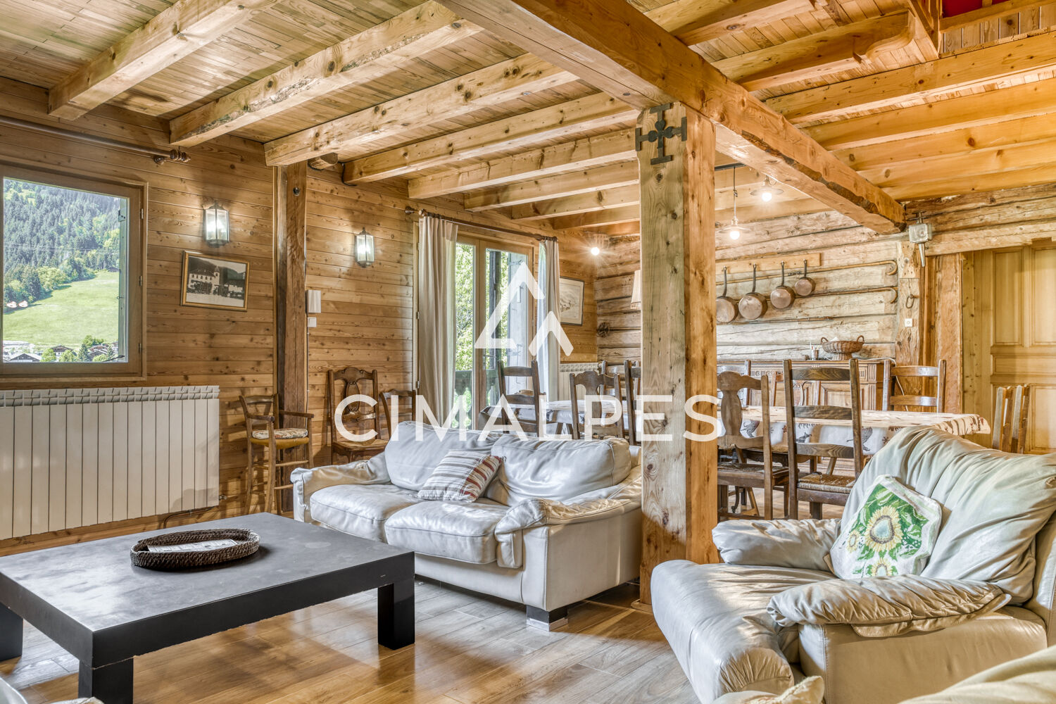 Chalet d'alpage - Vue panoramique