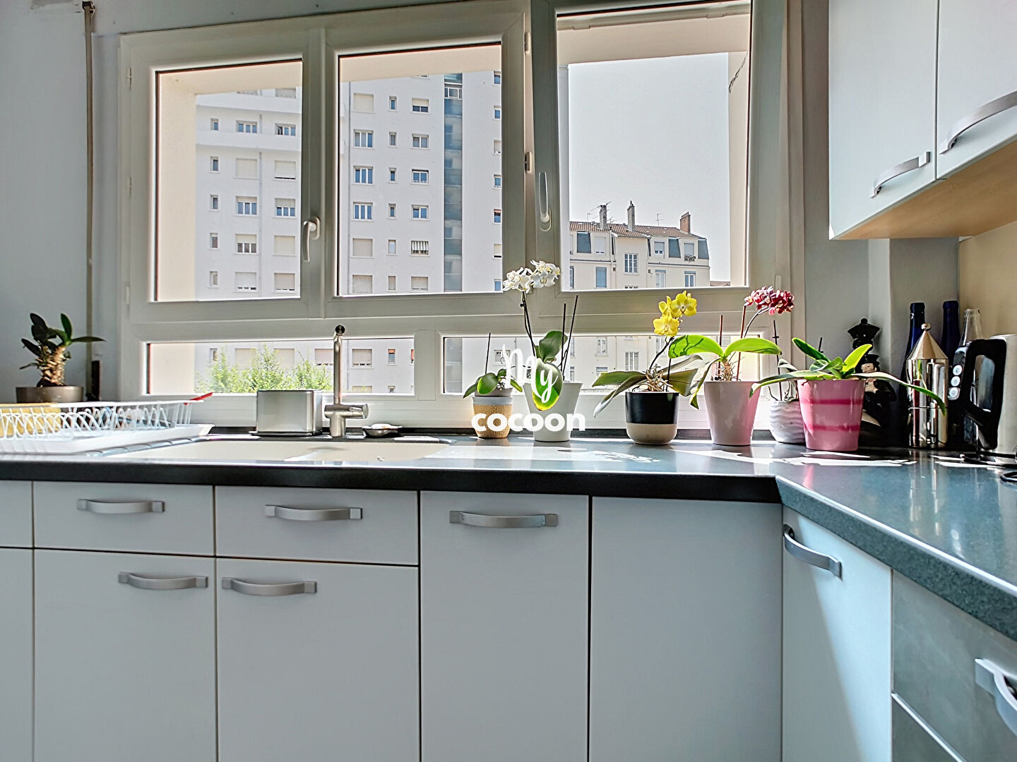 Agence immobilière de Cocooning Conseil