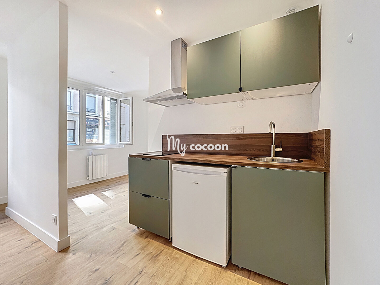 Photo Lyon 7 - T1 Bis - 29 m2 image 3/6