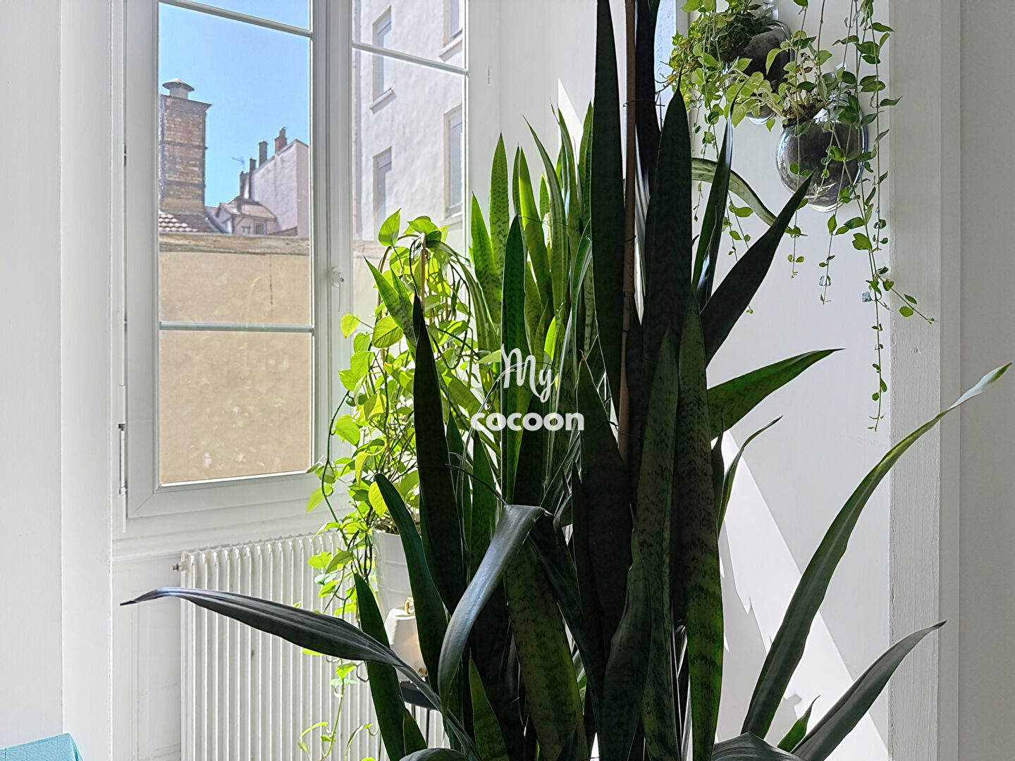 Photo LYON 02 - CARNOT - T3 bis - 81.04 m2 image 6/6