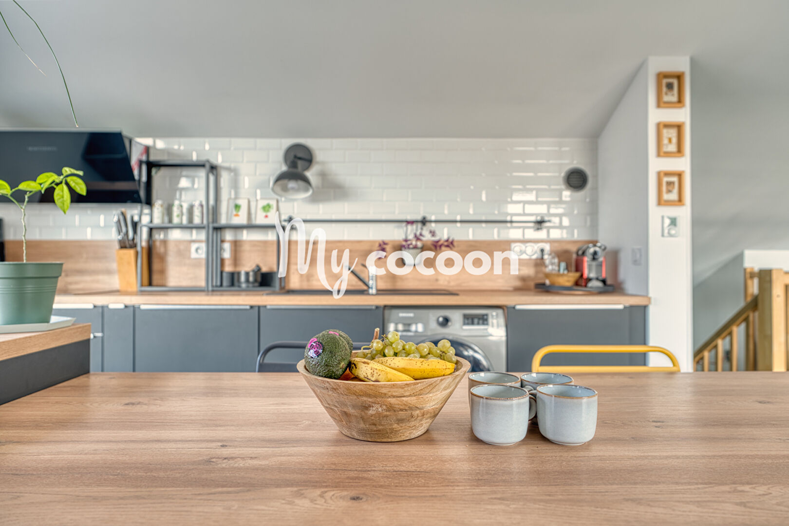 PARILLY / JULES GUESDE - T5 - 121m2