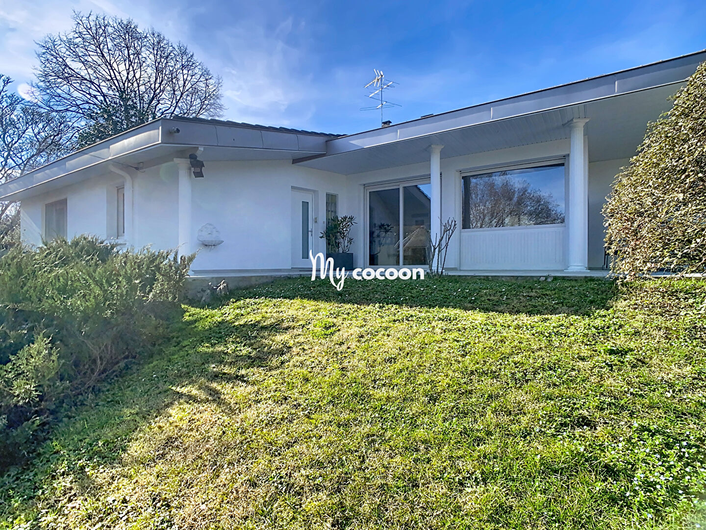 Agence immobilière de Cocooning Conseil