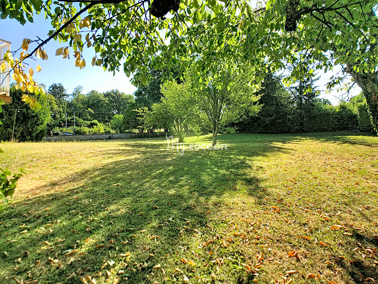 Agence immobilière de Cocooning Conseil