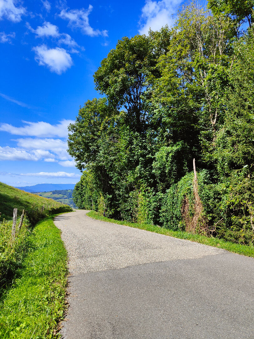 Photo Terrains - 13 589m² - La Chapelle Du Bard image 3/6