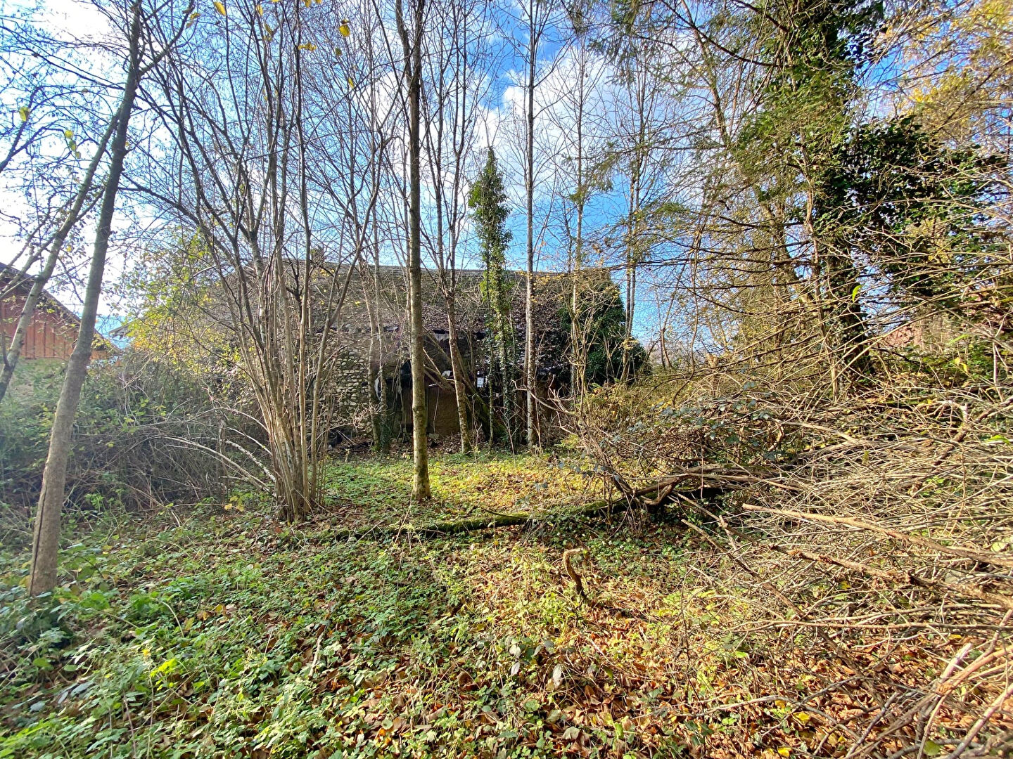 Photo Maison 6 pièces à rénover, grand terrain, 107 m², Entrelacs/St Girod image 4/6