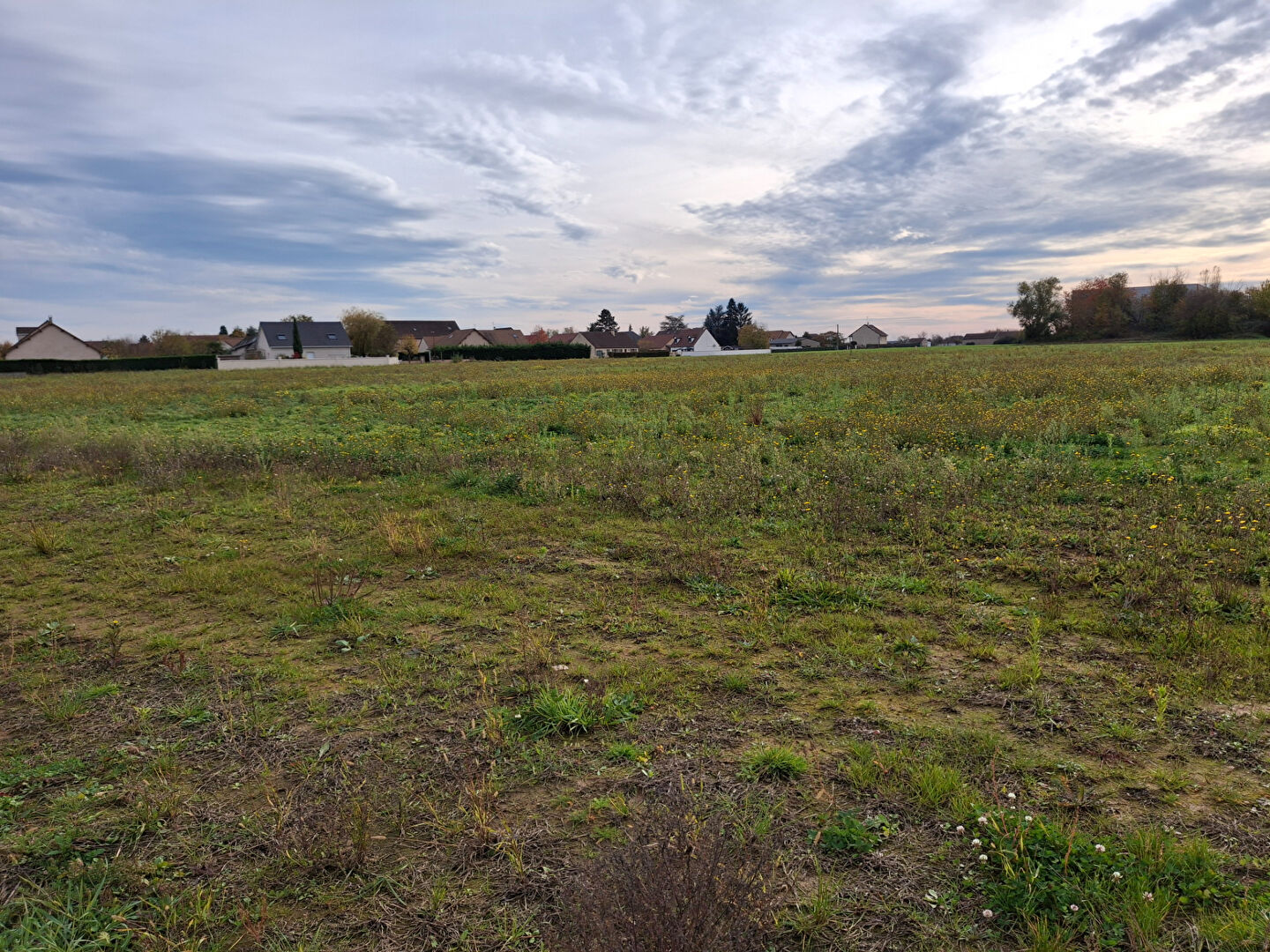 Agence immobilière de Coop Habitat Bourgogne Chalon-sur-saône
