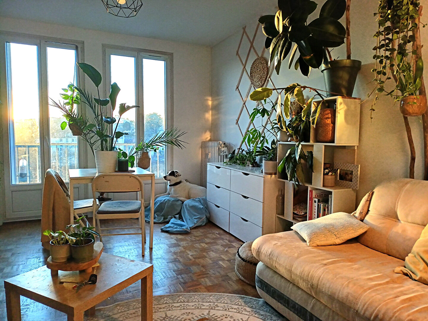 Agence immobilière de 
 Coste Immobilier - COSTE IMMOBILIER 
