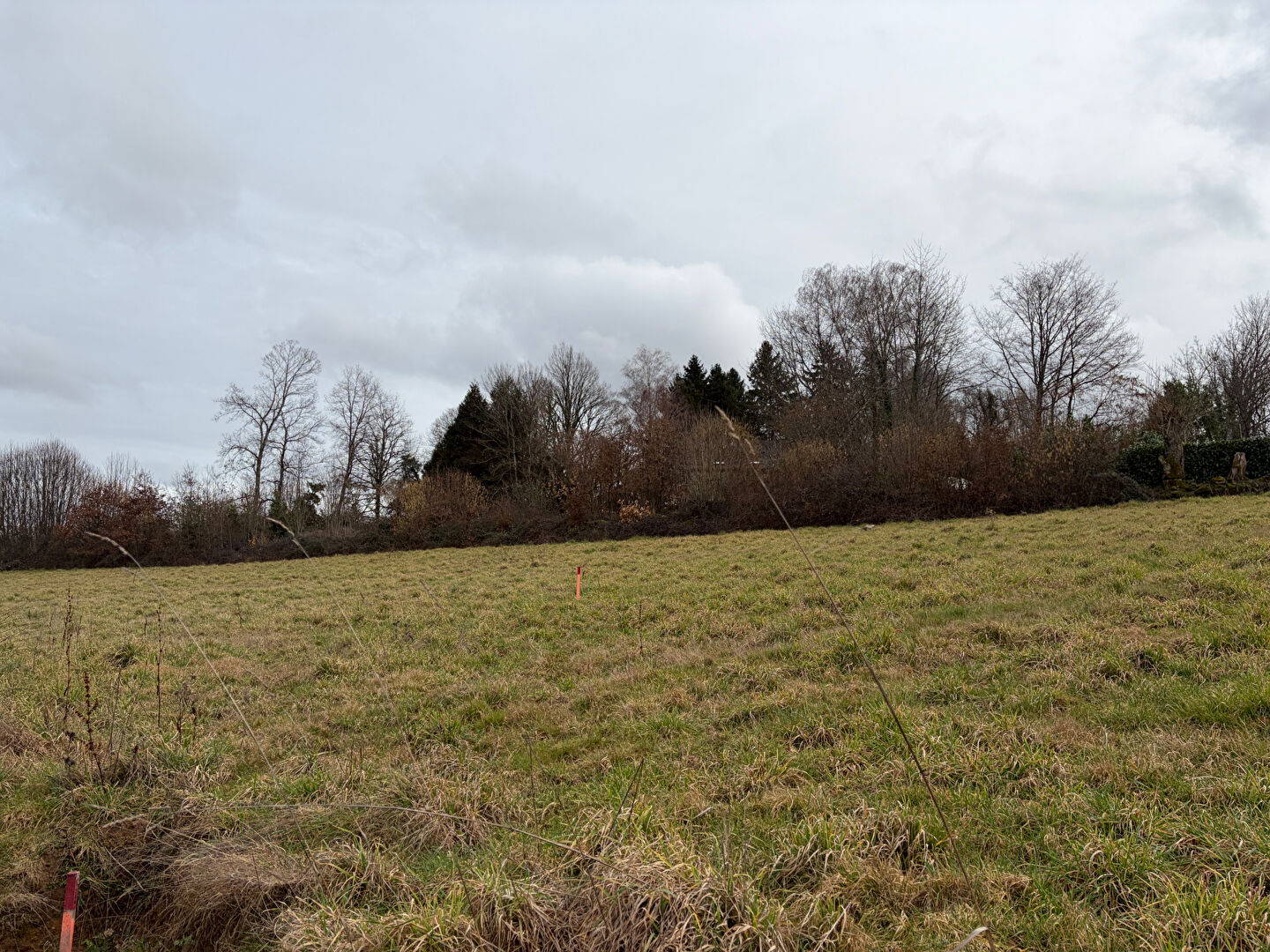 Agence immobilière de 
 Coste Immobilier - COSTE IMMOBILIER 
