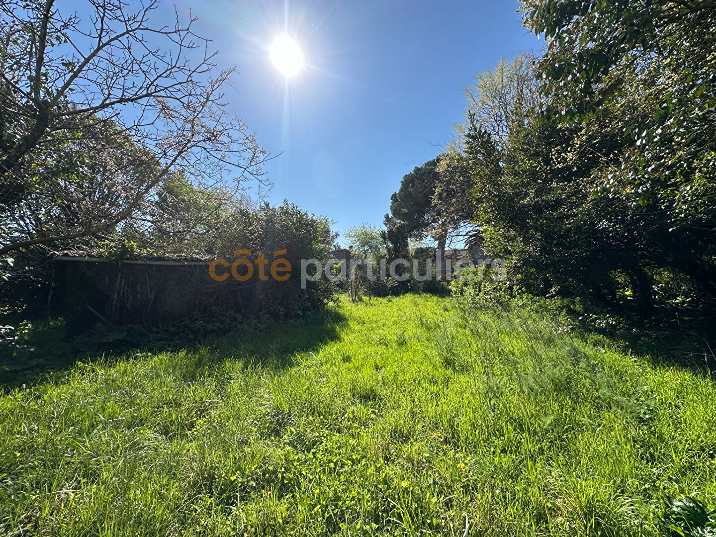 Agence immobilière de COTE PARTICULIERS - Bordeaux Ornano