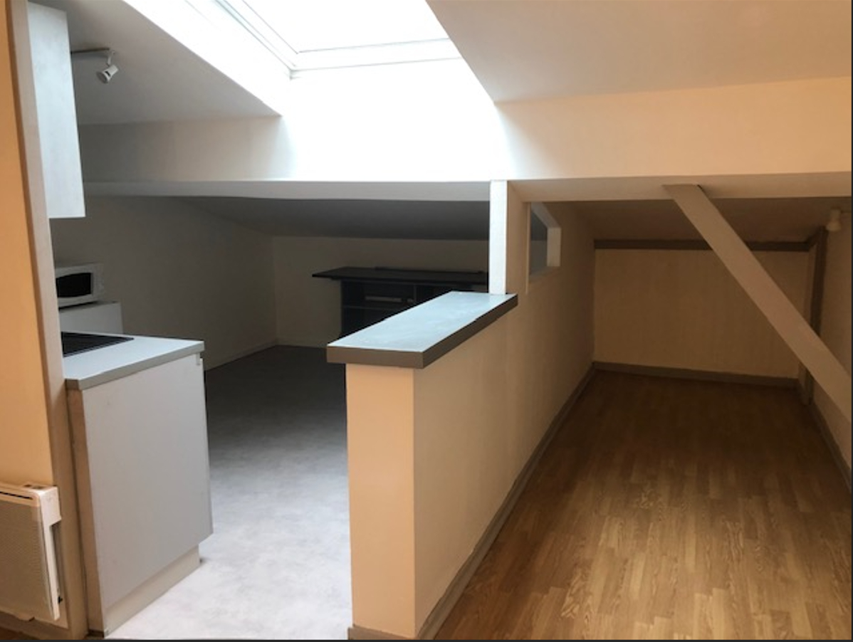 Appartement  2 pièces 34.26 m2 +18.71m² non carrez