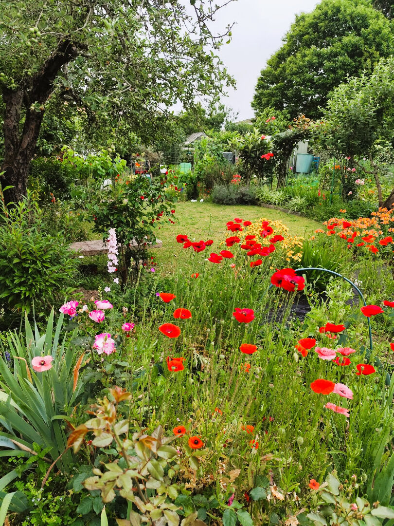 Photo Maison à Dax de 132 m2 image 3/6