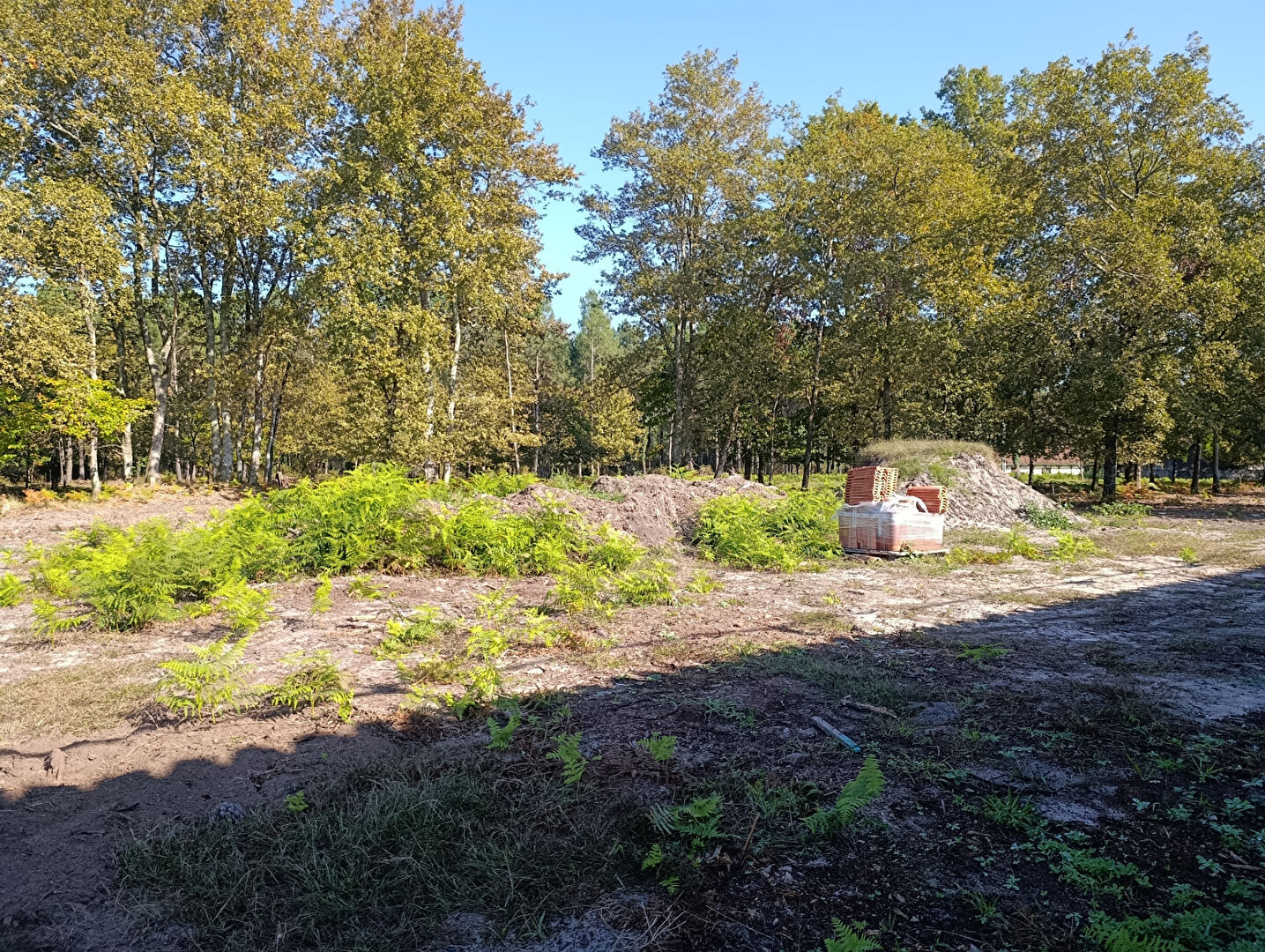 Photo Maison Vielle Saint Girons 128.76 m2 image 5/6