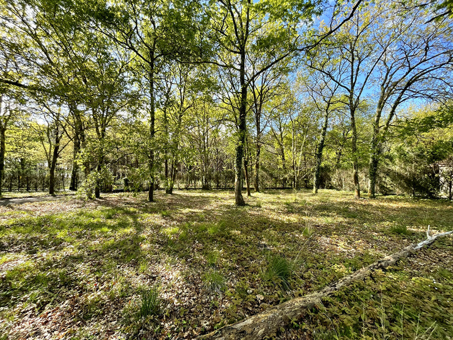 Agence immobilière de COURTÈS ALIS - SOUSTONS