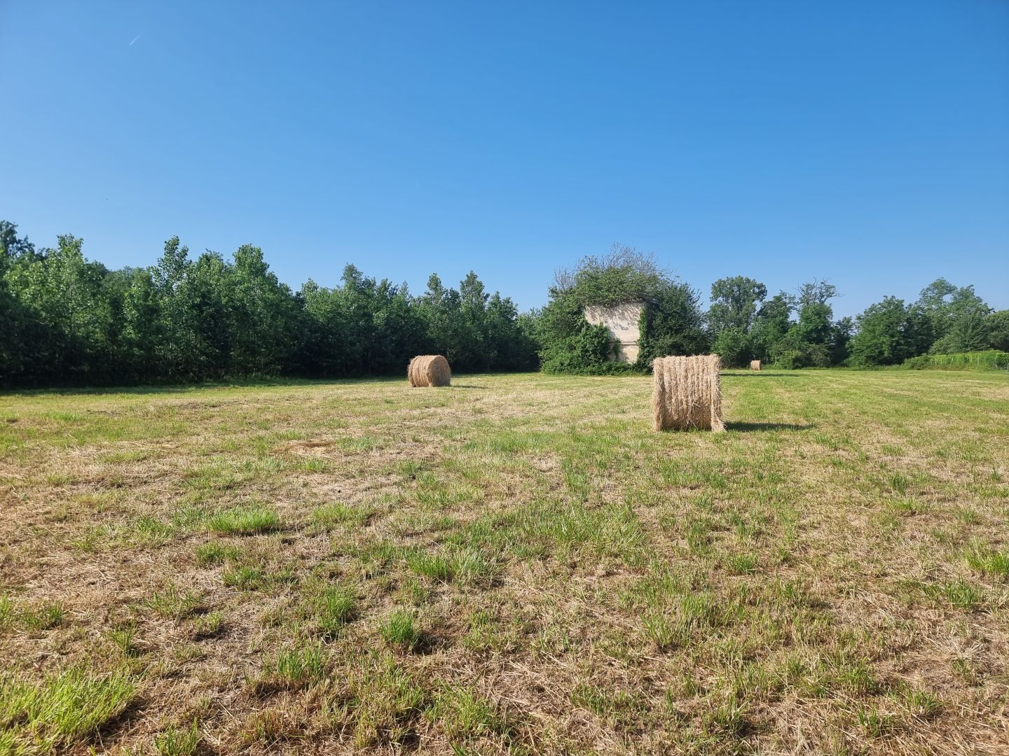 TERRAIN A BATIR D ENVIRON 9700 M² SUR LAFOX