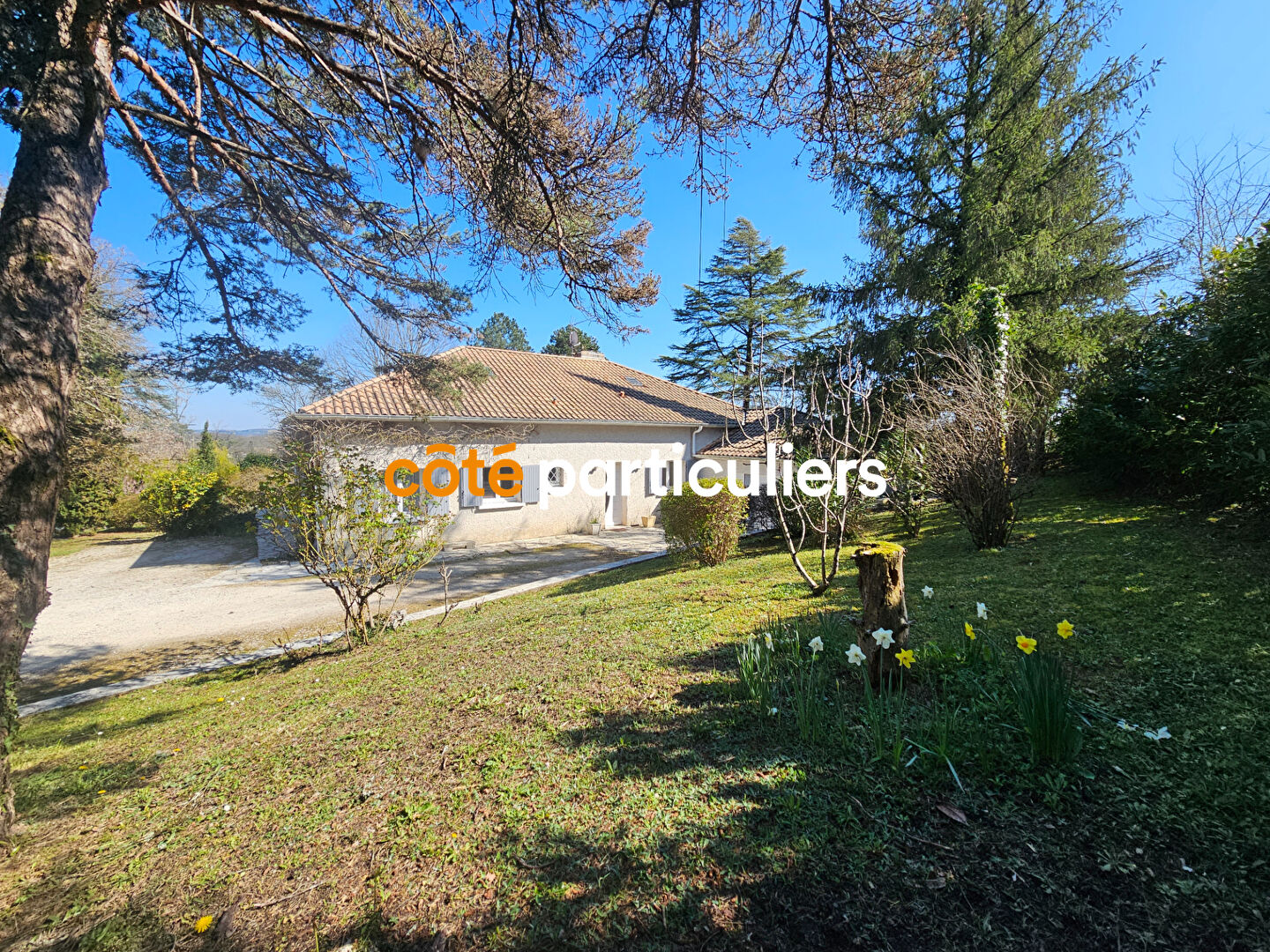 Agence immobilière de COTE PARTICULIERS  - Agen