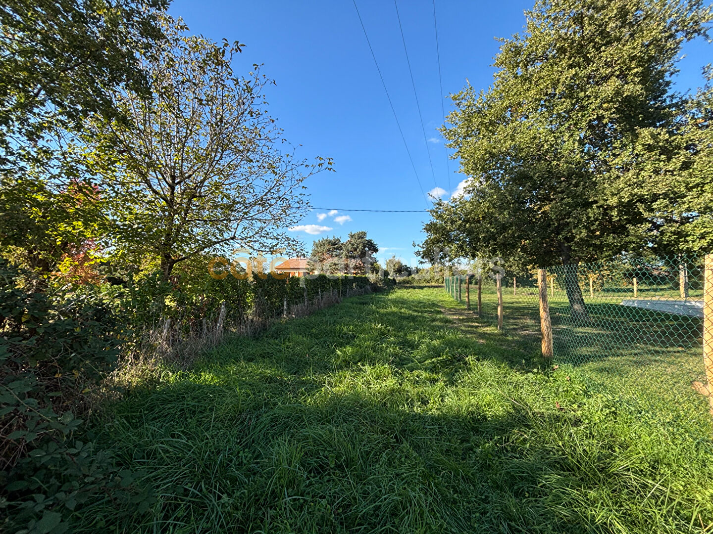 Photo TERRAIN CONSTRUCTIBLE 2 300 m² LE PASSAGE image 2/5