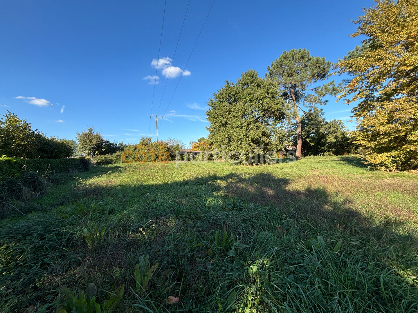 Photo TERRAIN CONSTRUCTIBLE 2 300 m² LE PASSAGE image 3/5