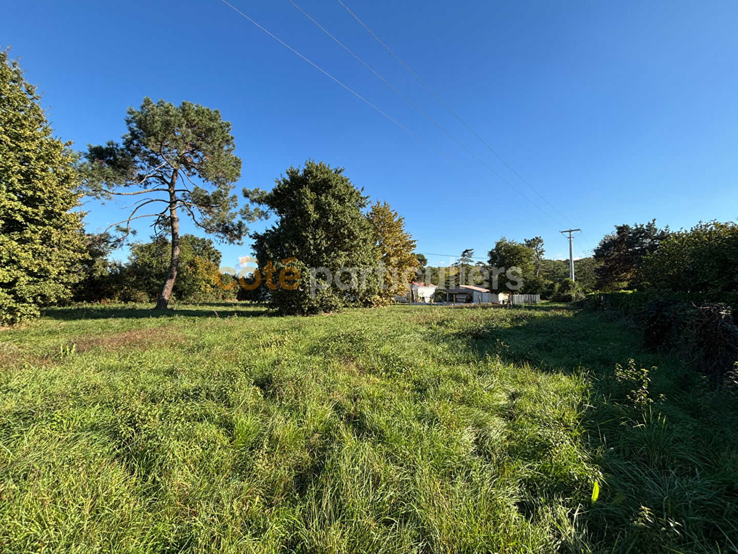 Photo TERRAIN CONSTRUCTIBLE 2 300 m² LE PASSAGE image 4/5