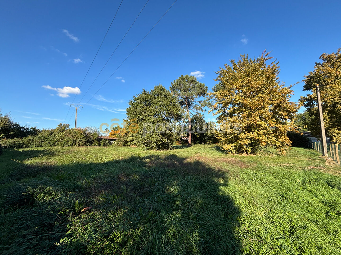 Photo TERRAIN CONSTRUCTIBLE 2 300 m² LE PASSAGE image 5/5