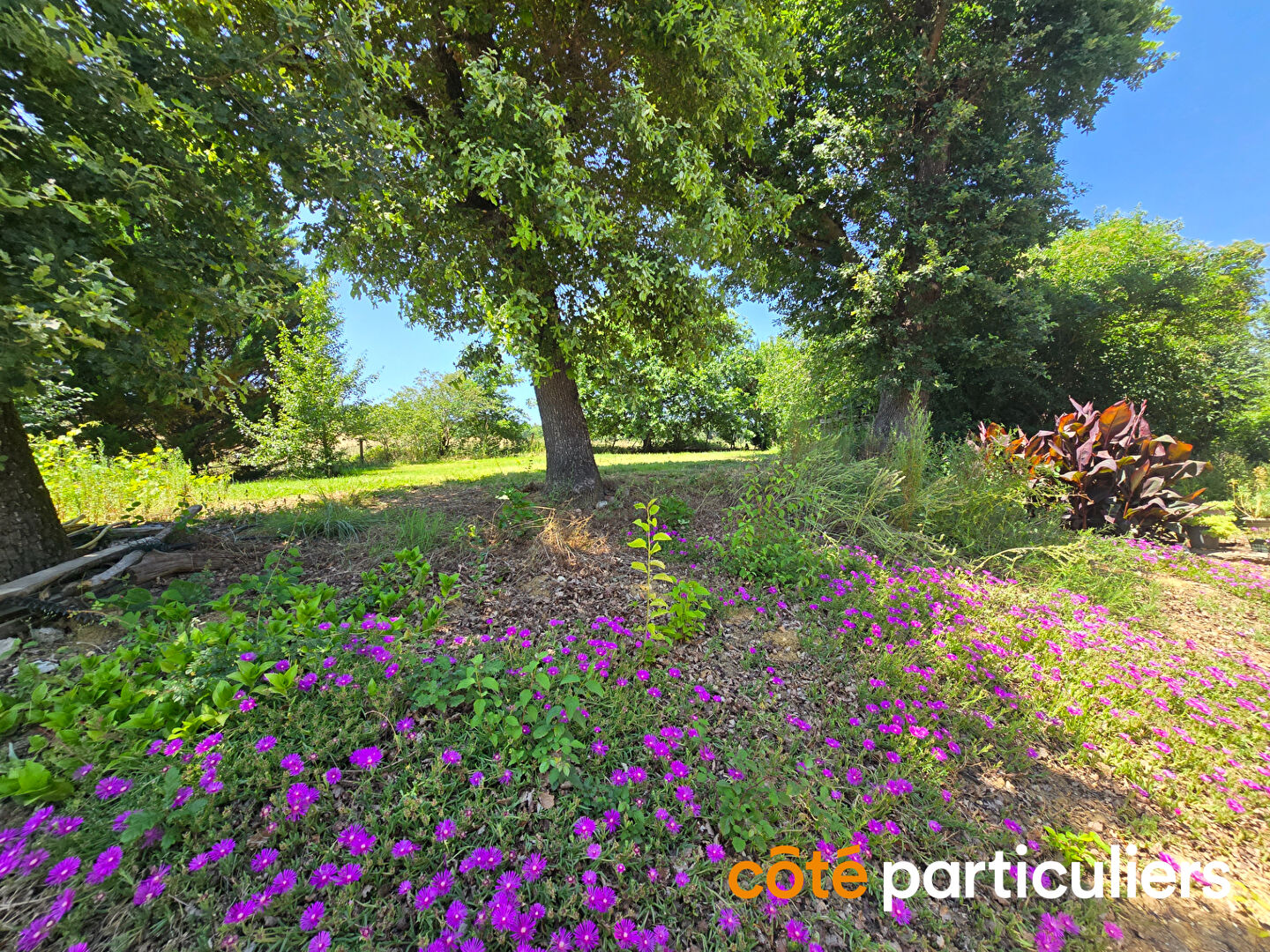 Photo PROPRIETE EN PIERRE, PISCINE ET DEPENDANCES image 4/6