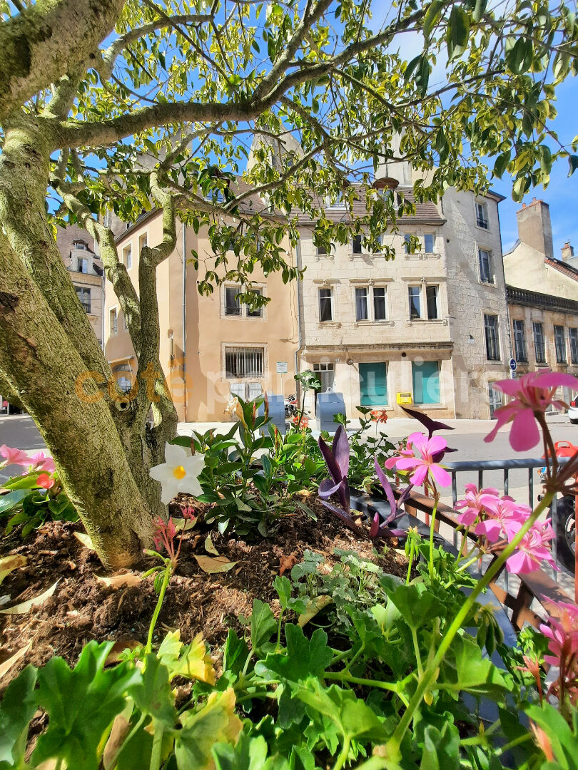 Agence immobilière de COTE PARTICULIERS - Dole