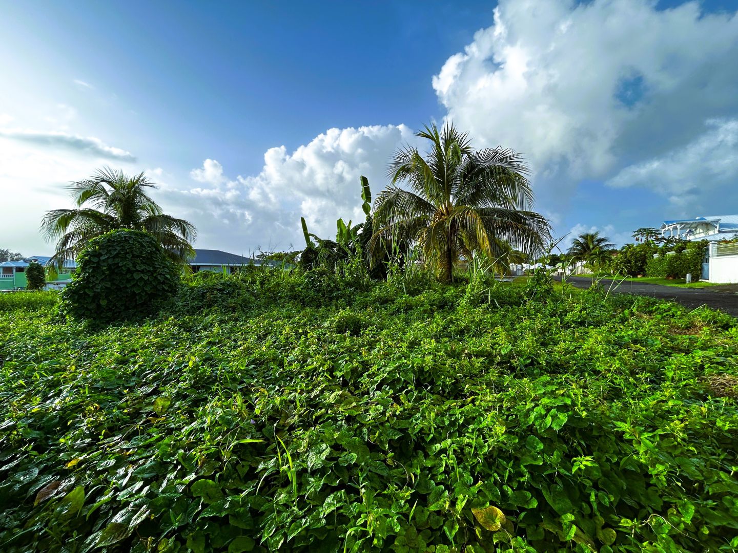 Agence immobilière de Côté Particuliers Le Gosier - La Guadeloupe