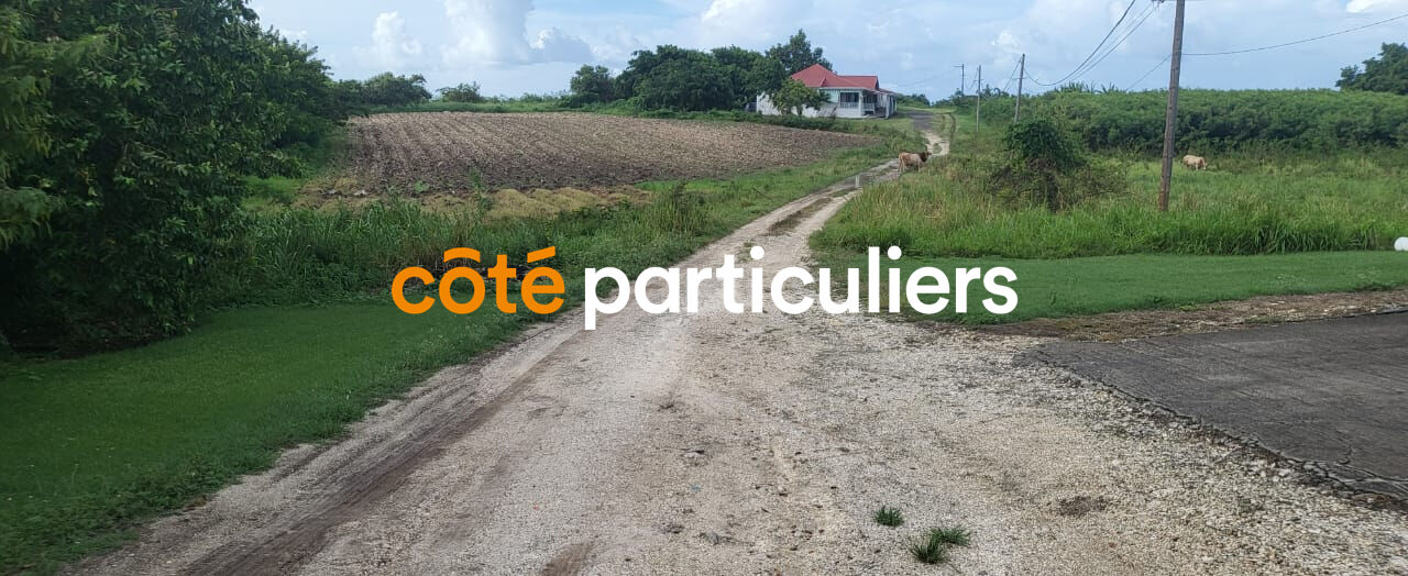 Agence immobilière de Côté Particuliers Saint François - La Guadeloupe