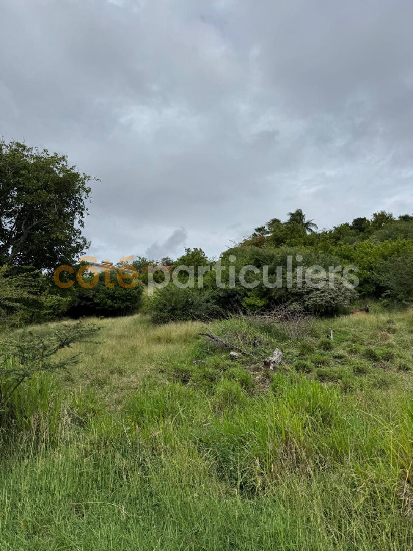Agence immobilière de Côté Particuliers Le Gosier - La Guadeloupe