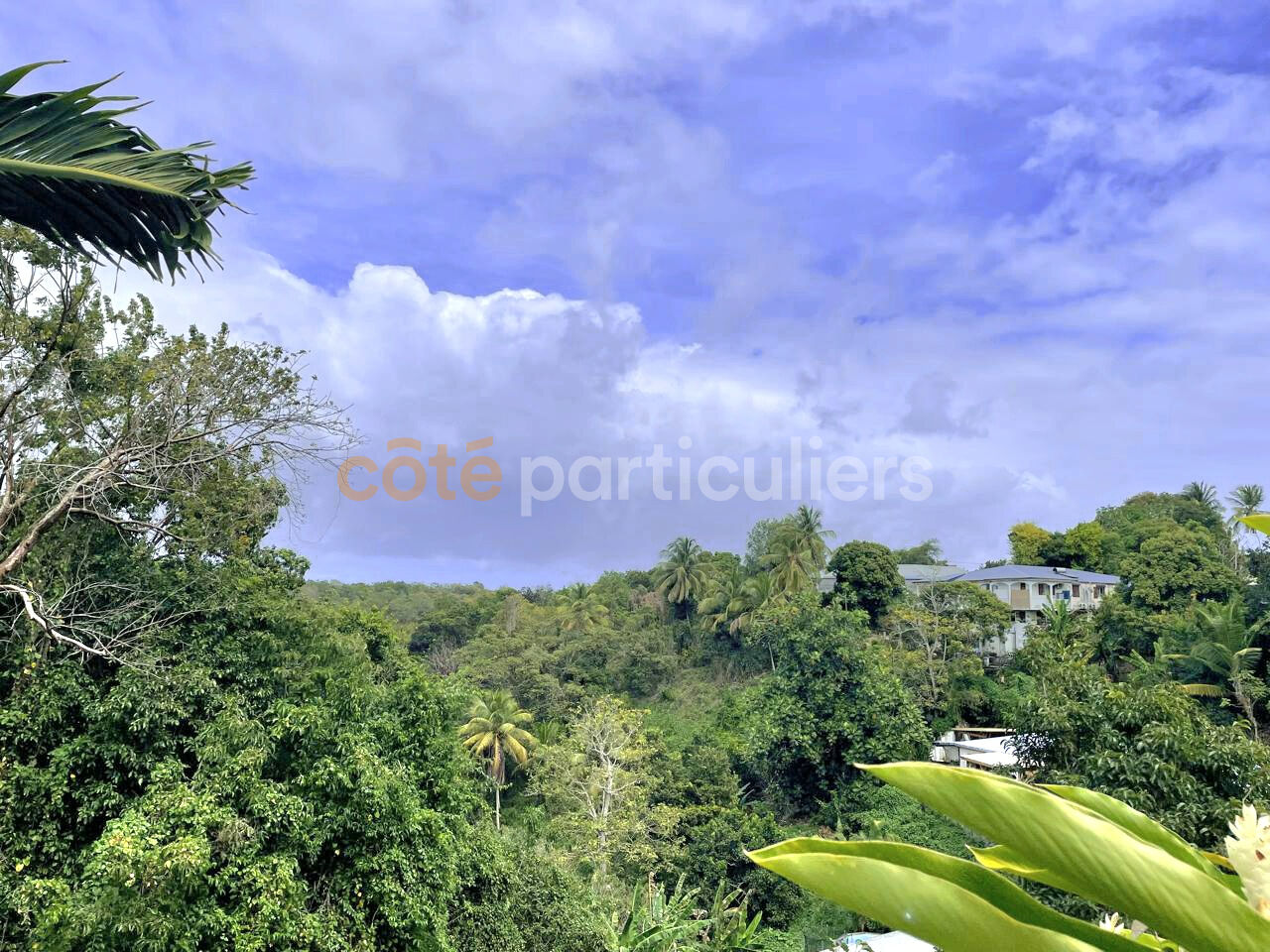 Agence immobilière de Côté Particuliers Le Gosier - La Guadeloupe