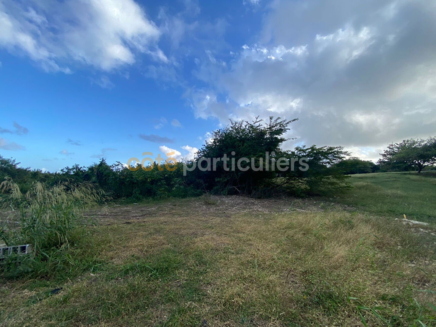 Agence immobilière de Côté Particuliers Le Gosier - La Guadeloupe