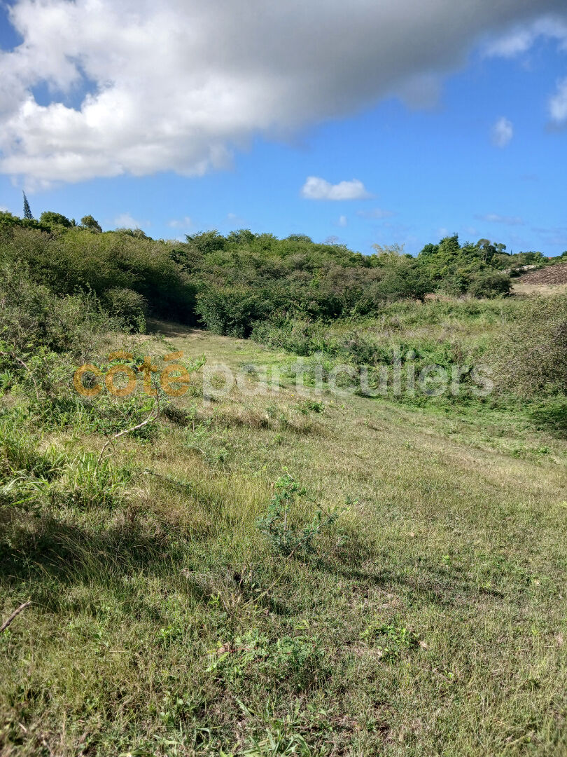Agence immobilière de Côté Particuliers Le Gosier - La Guadeloupe