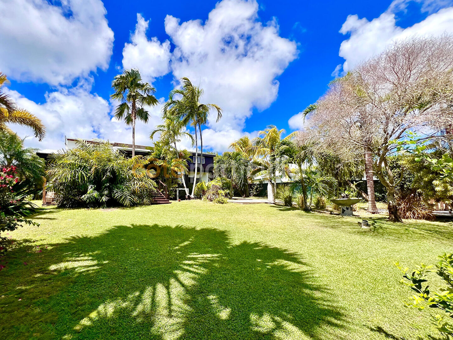 Agence immobilière de Côté Particuliers Saint François - La Guadeloupe