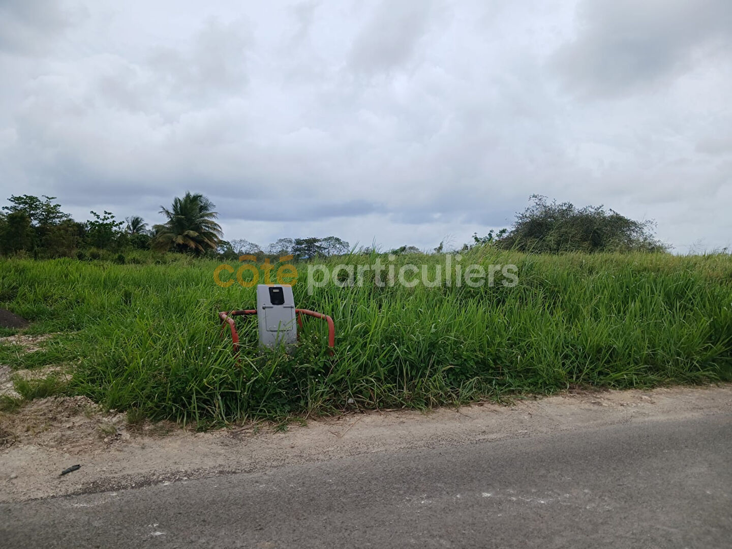 Agence immobilière de Côté Particuliers Le Gosier - La Guadeloupe