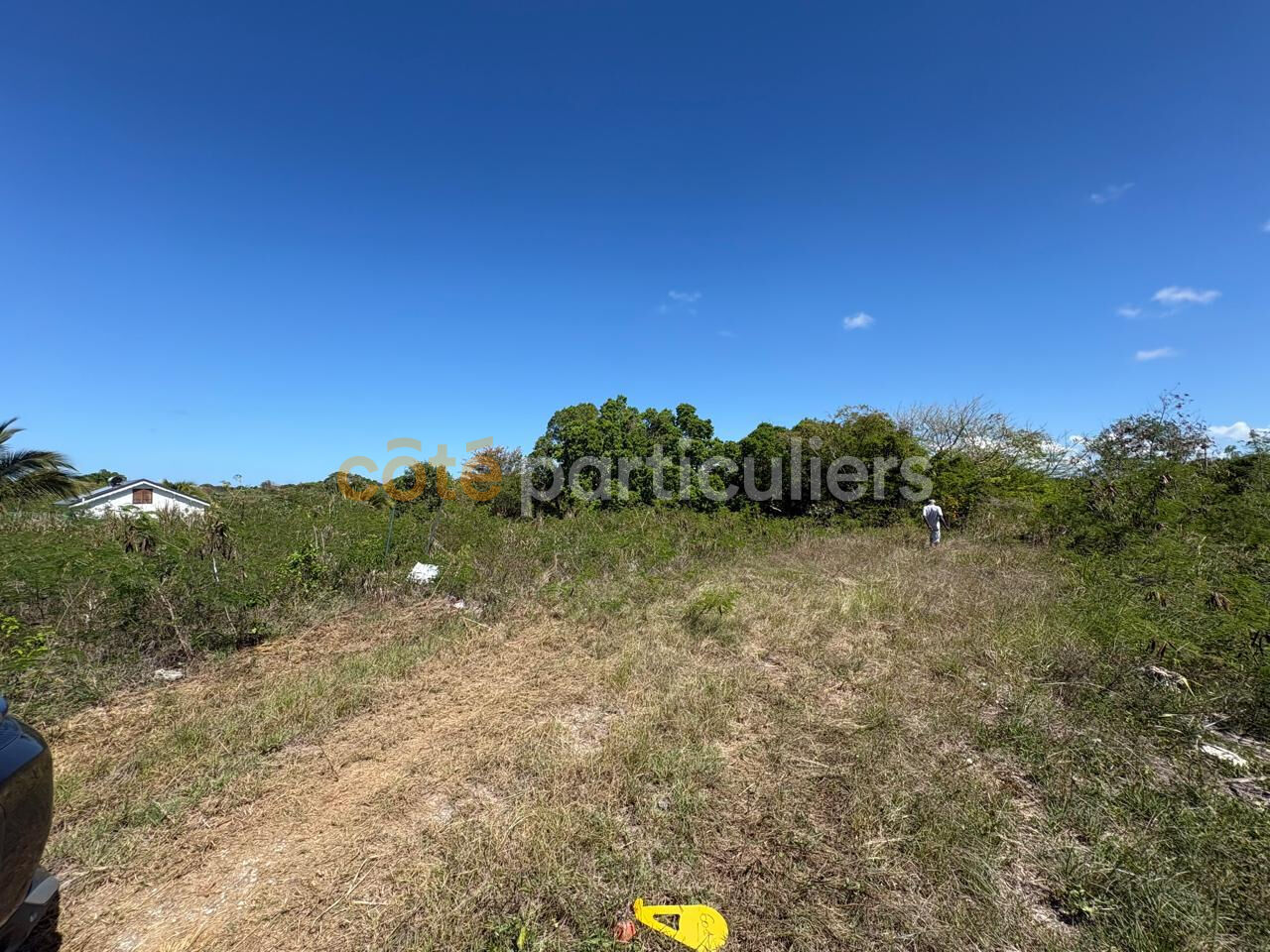 Terrain Anse Bertrand 1000 m2