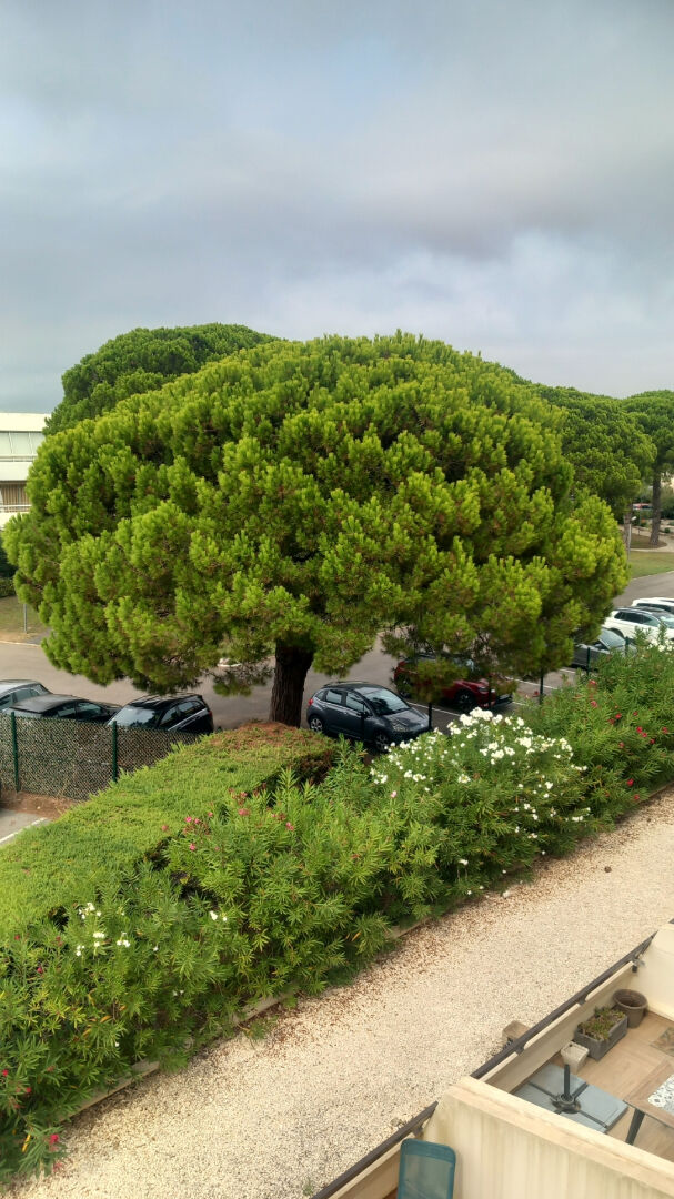 Photo P2 MEUBLE A PORT CAMARGUE image 5/6