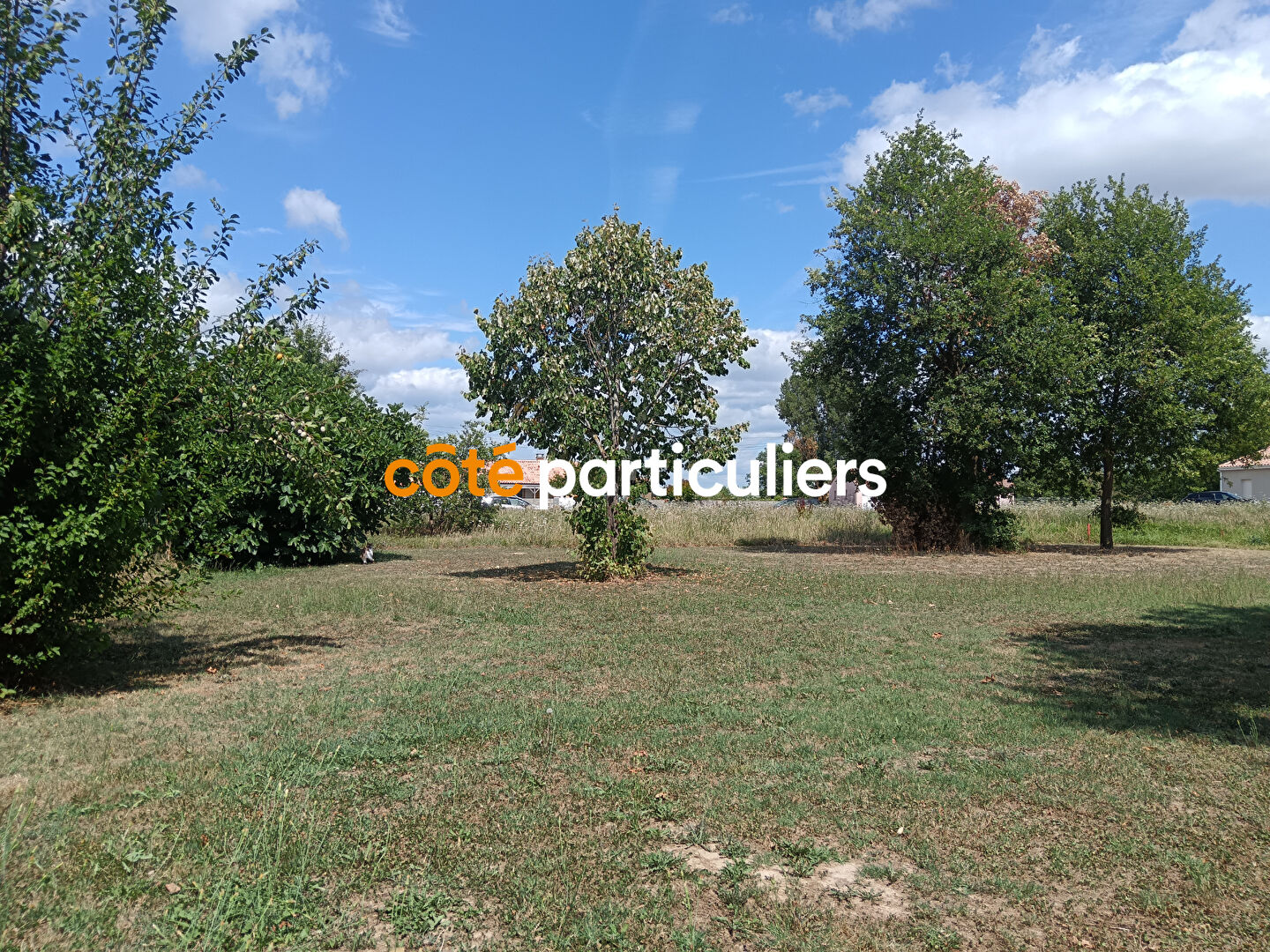 Agence immobilière de COTE PARTICULIERS - Montauban