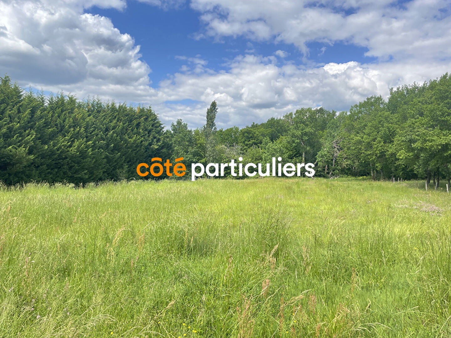 Agence immobilière de COTE PARTICULIERS - Montauban
