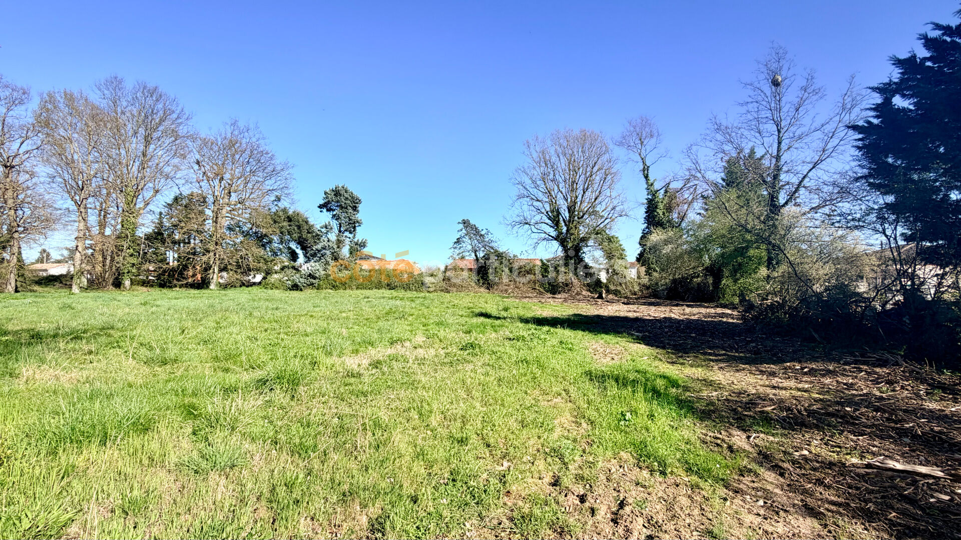 Agence immobilière de COTE PARTICULIERS - Montauban