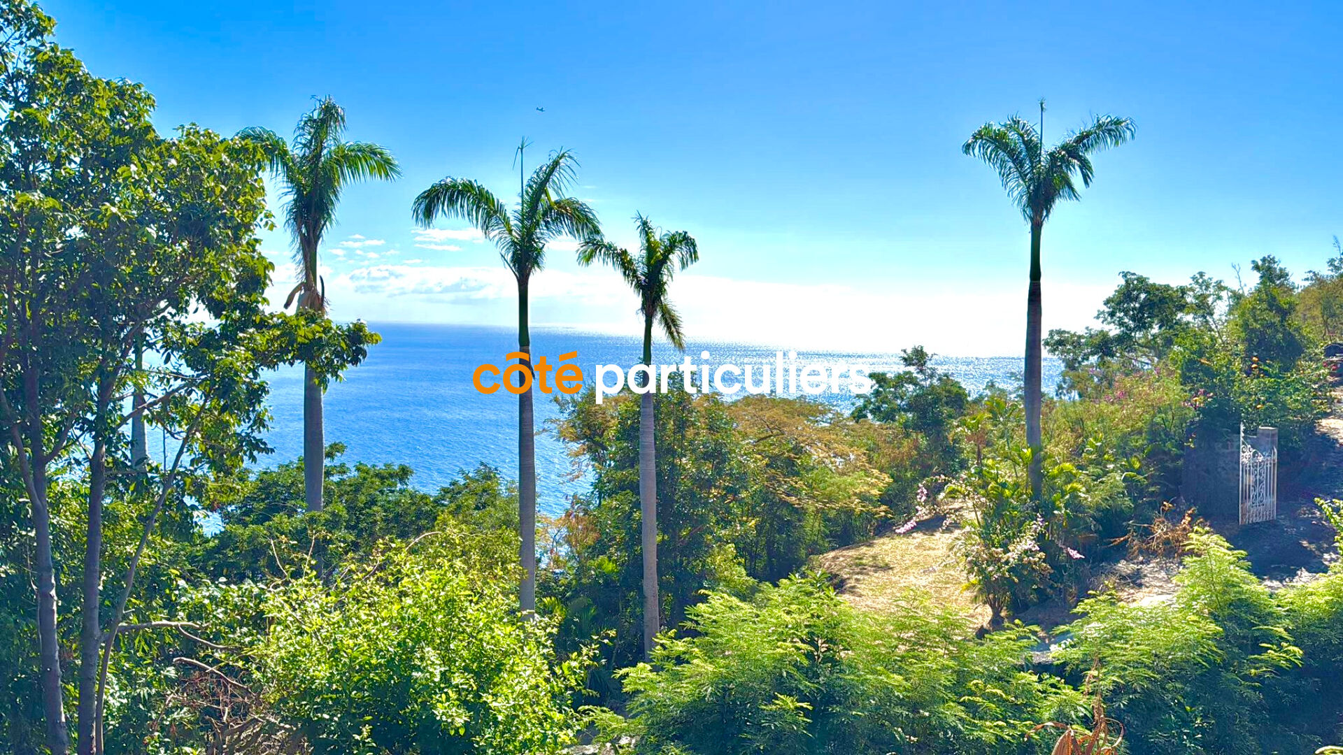 Agence immobilière de COTE PARTICULIERS - Saint Gilles - La Réunion