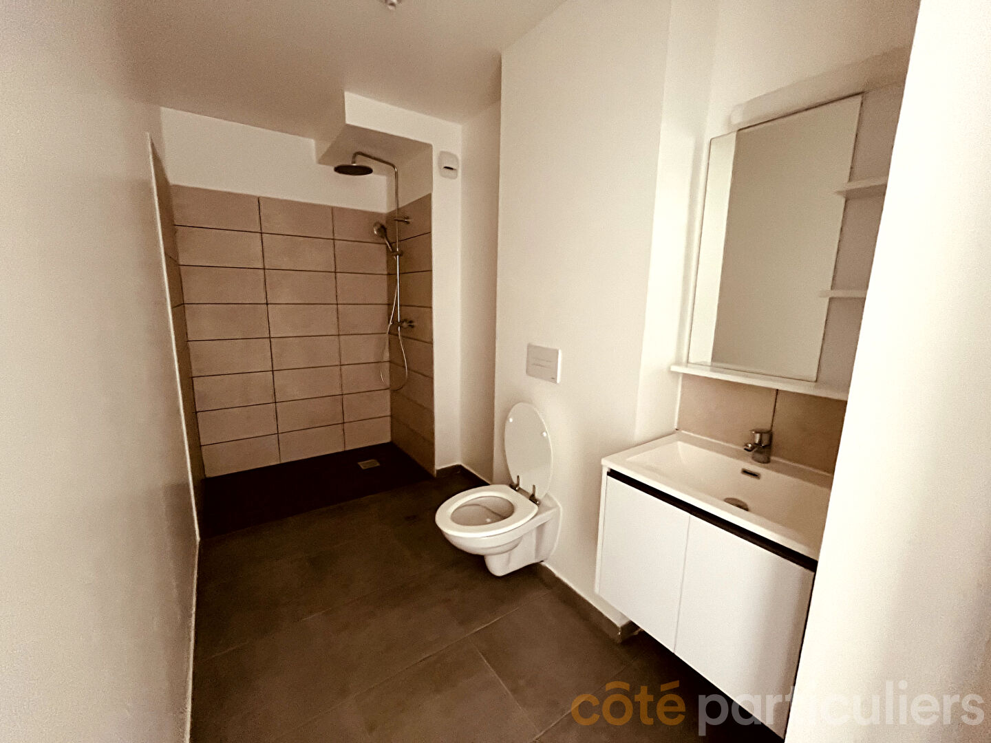 Photo A LOUER T2 NON MEUBLE - BELLEPIERRE image 3/5