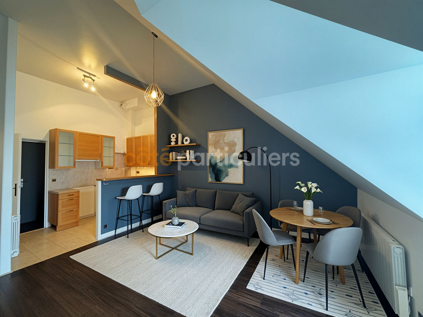 Appartement T3 en hyper centre