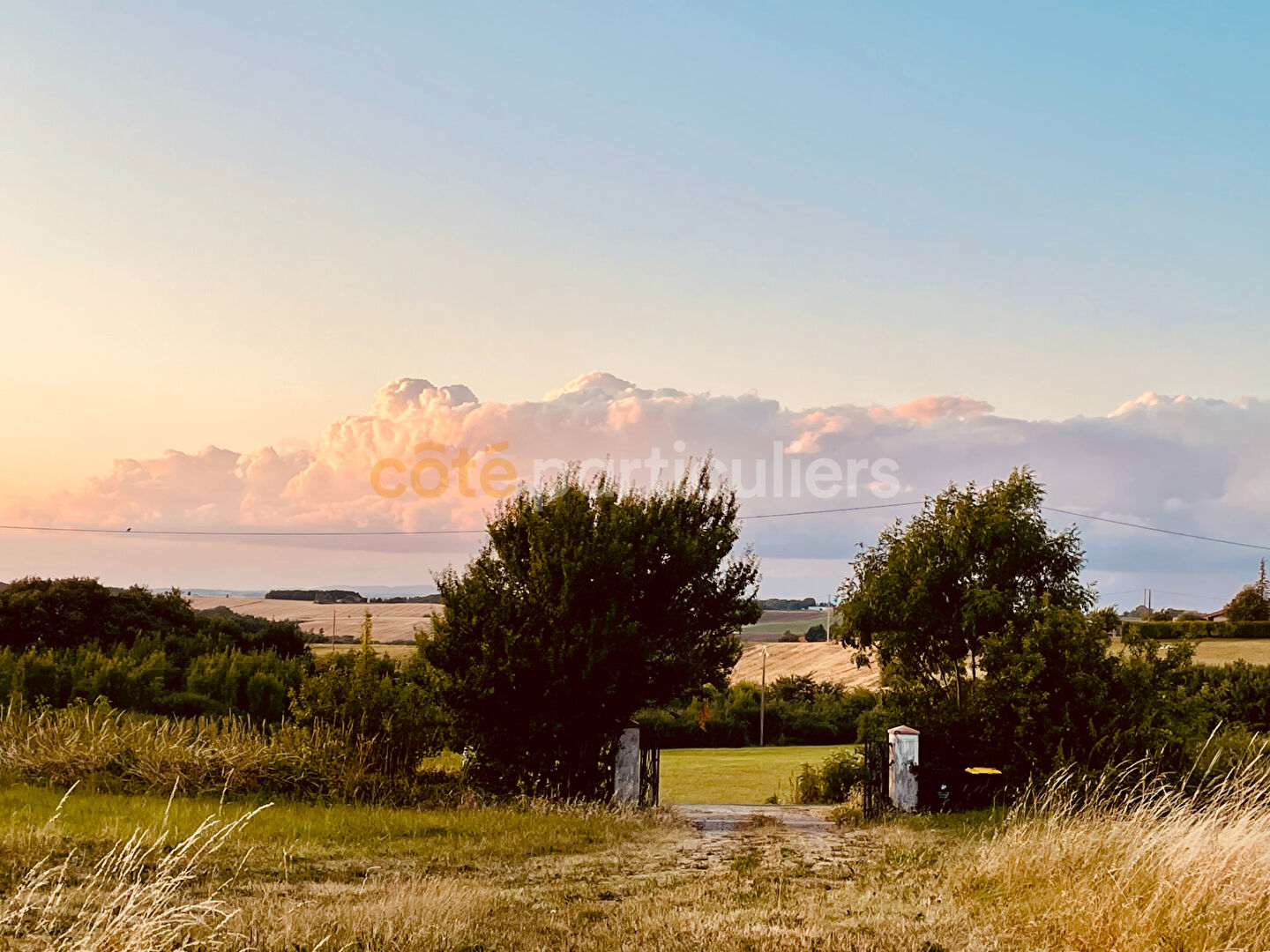 Photo Près Montastruc- Sur terrain de 1.5Ha arboré avec piscine, belle Toulousaine de 250m² Hab.(Poss.400m²) image 2/6