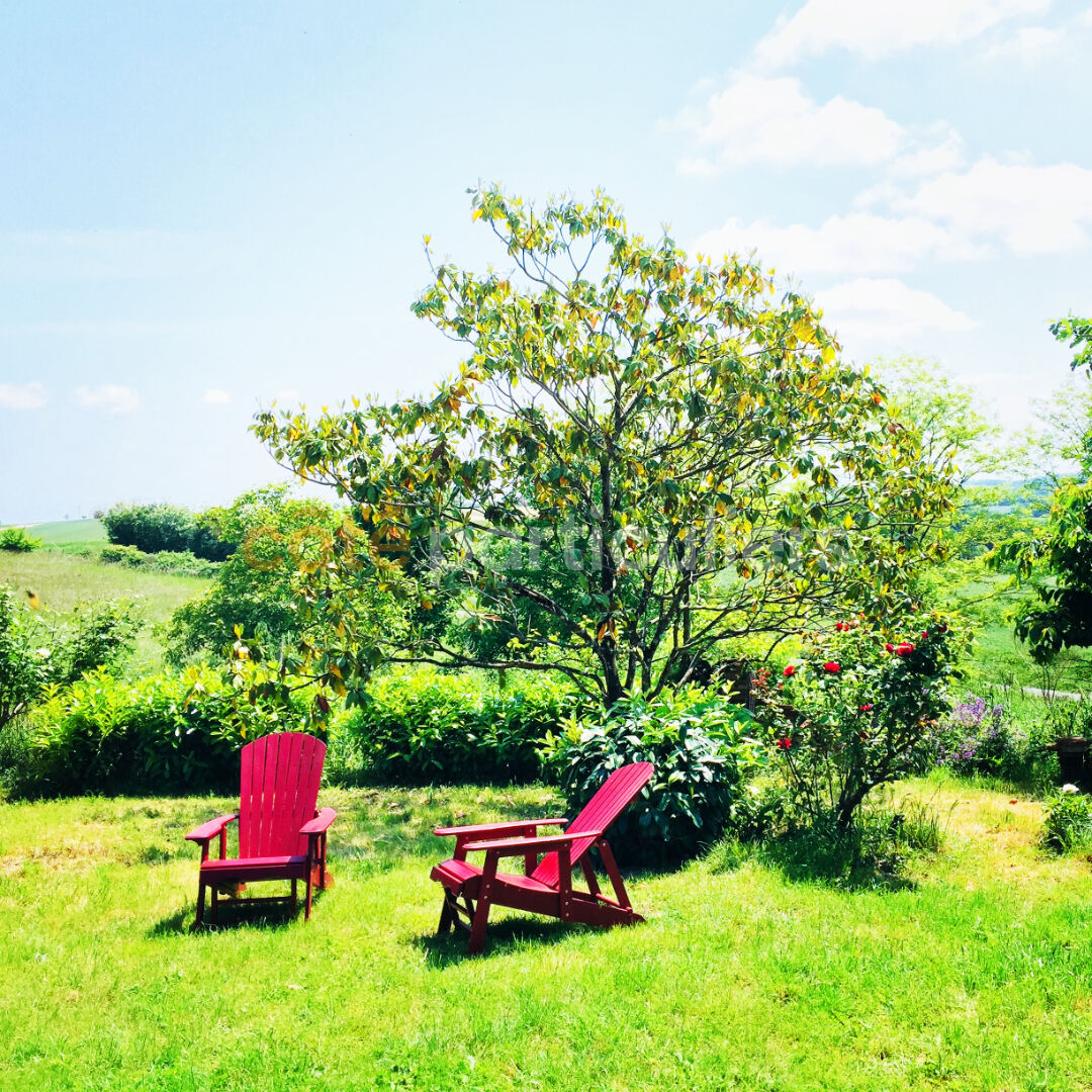 Photo Près Montastruc- Sur terrain de 1.5Ha arboré avec piscine, belle Toulousaine de 250m² Hab.(Poss.400m²) image 3/6