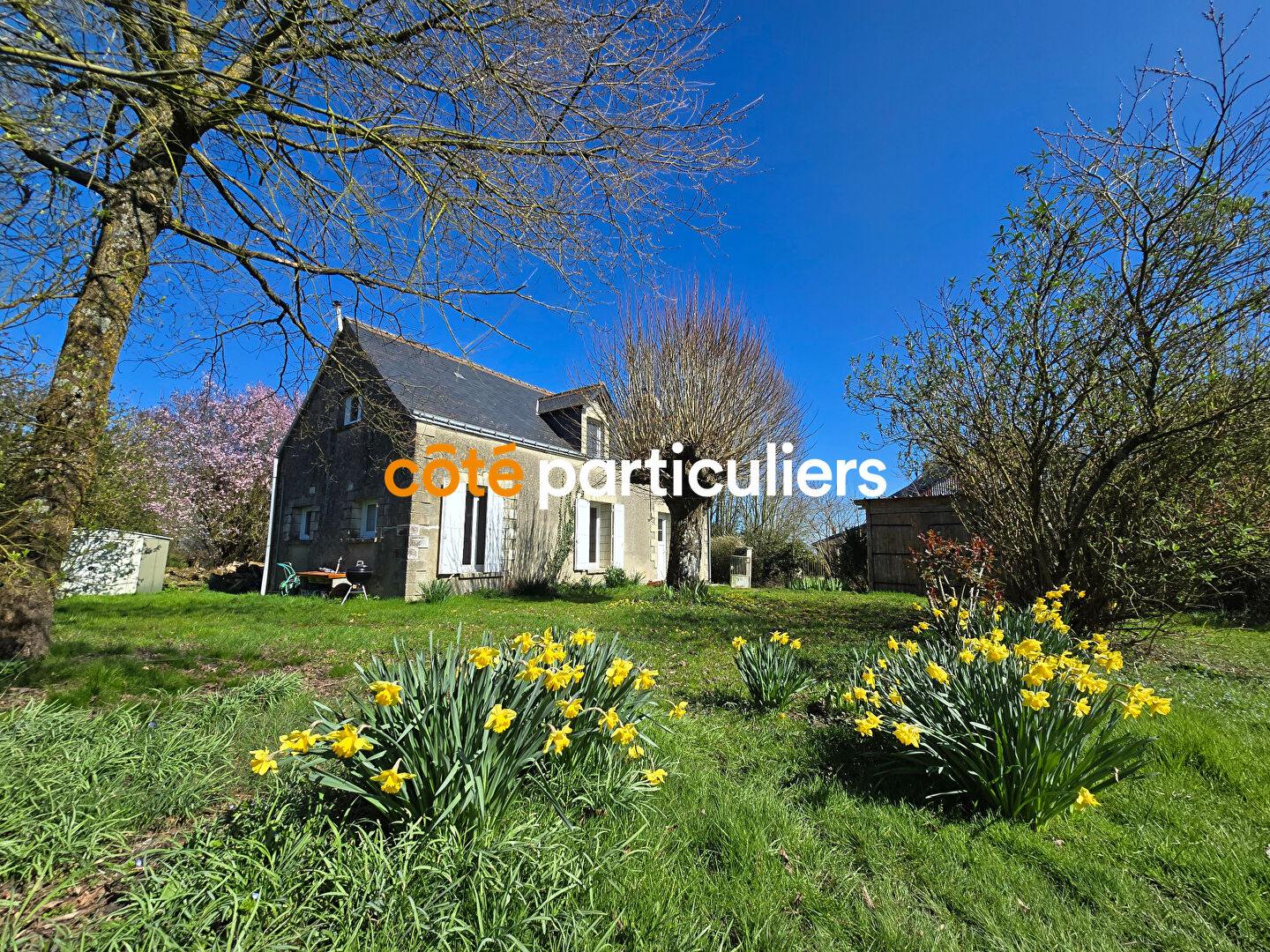 Photo Charmante Longère image 1/6