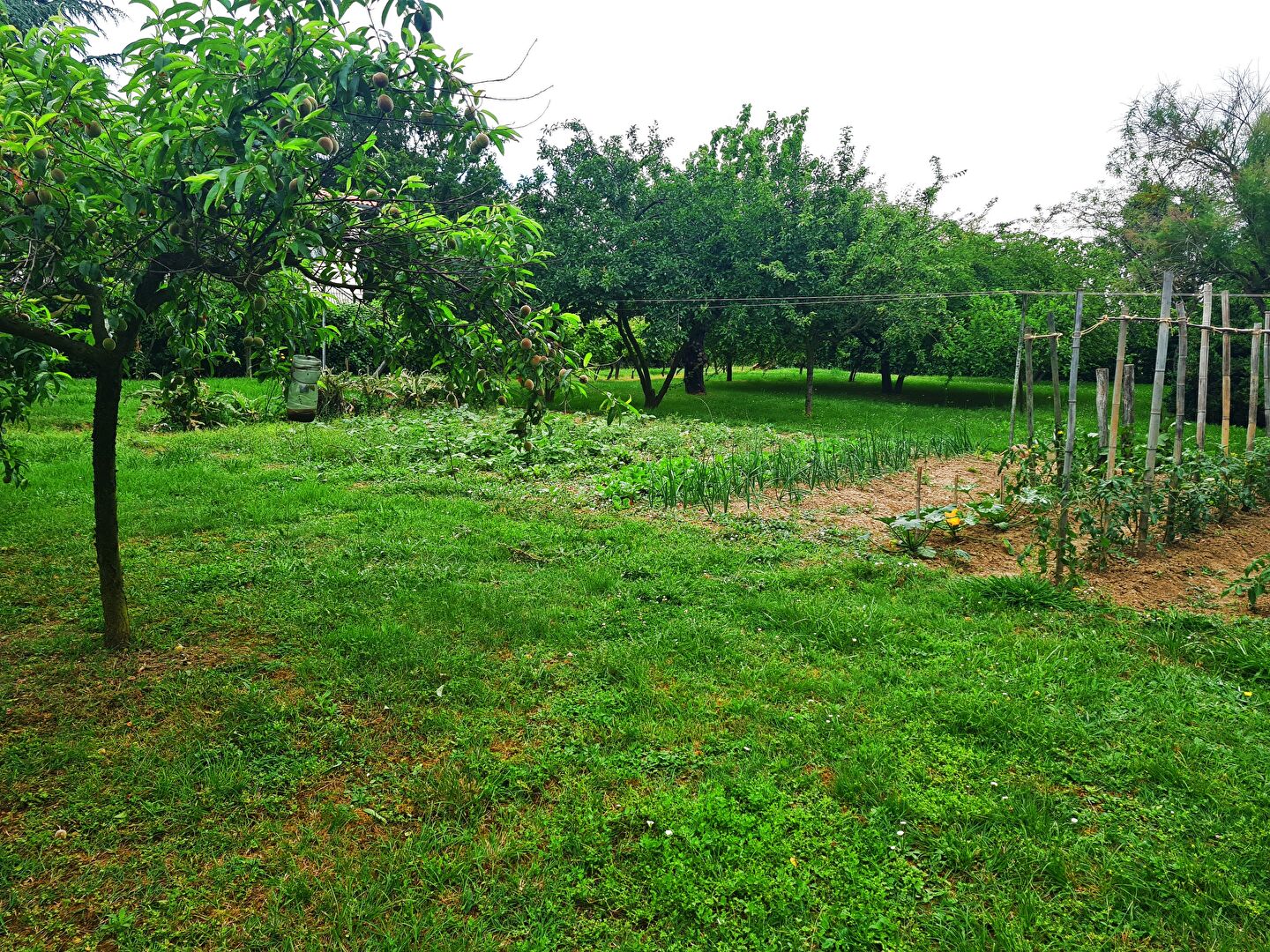 Agence immobilière de DEPAS ADESIMMO Saint-sulpice-sur-lèze