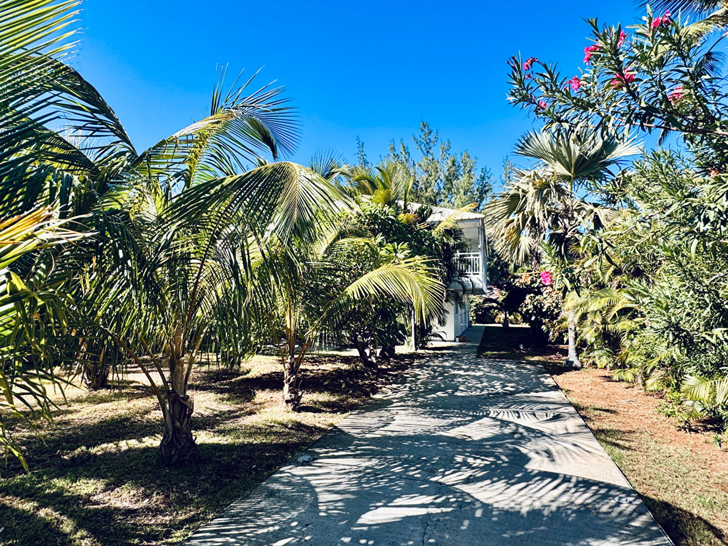 Bas de villa T5 Saline les bains