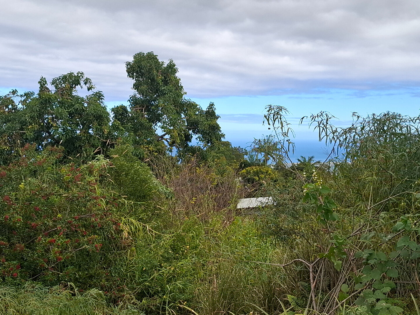 A vendre Terrain constructible 700 M2 Petit Tampon (Le Tampon)