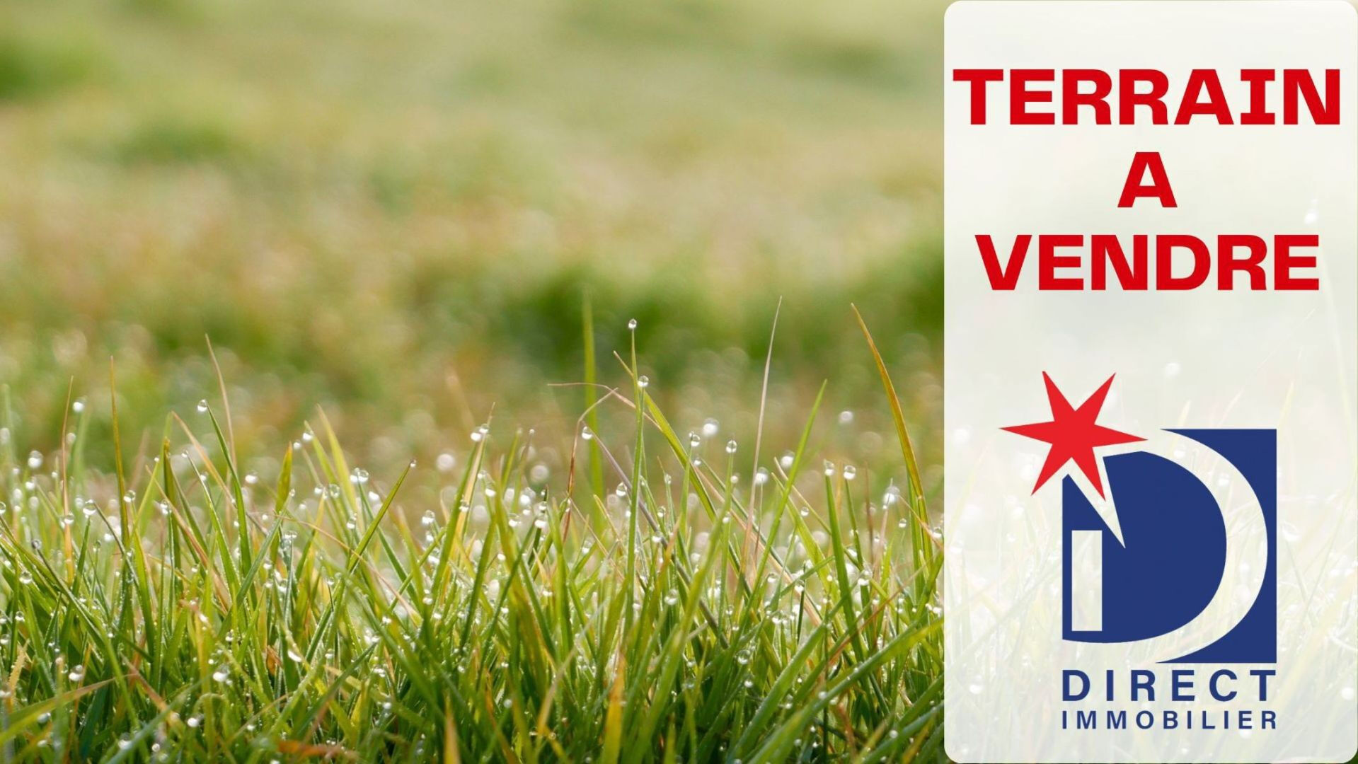 Terrain Saint Leu 350 m2