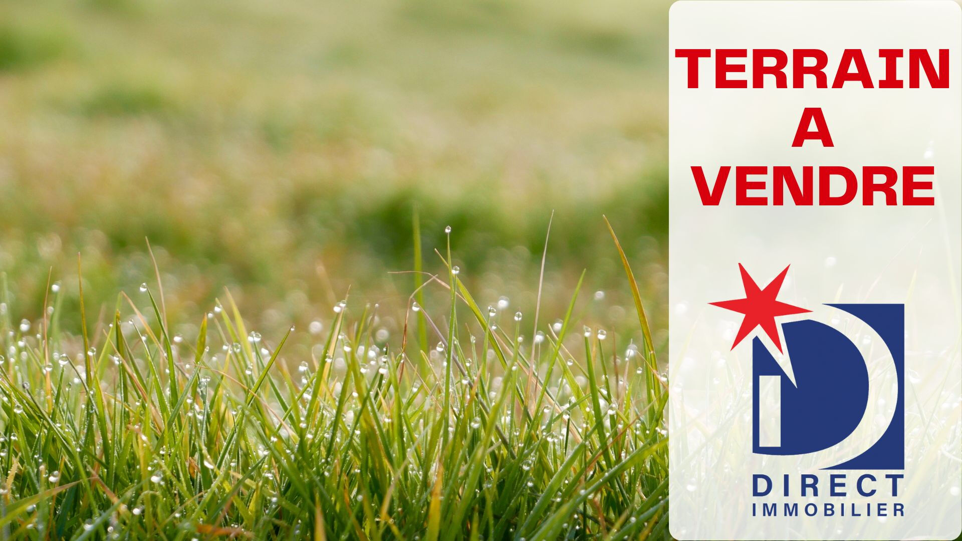Offre Directo Immo