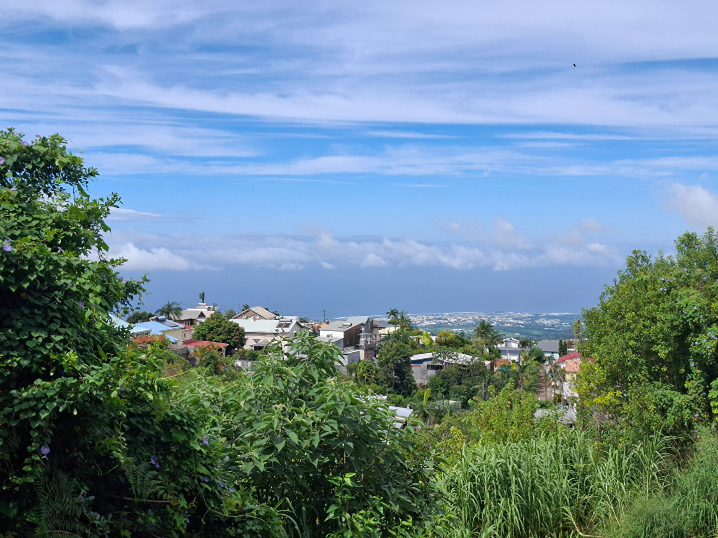 Terrain à bâtir Le Tampon 1044 m2 - secteur Petit Tampon -Zone UC